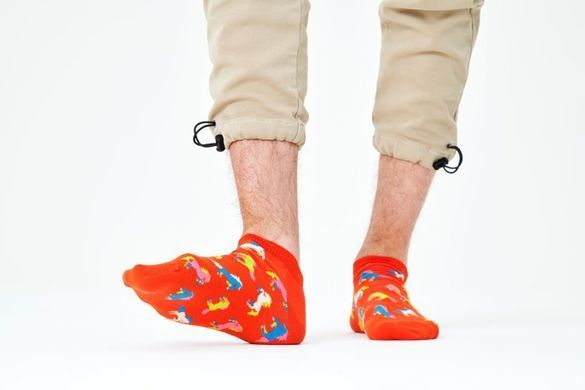 Короткі шкарпетки Happy Socks Horse HOS05-2900