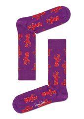 Шкарпетки Happy Socks Техас