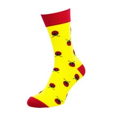 Шкарпетки The Pair of Socks & LAPAS Сонечка